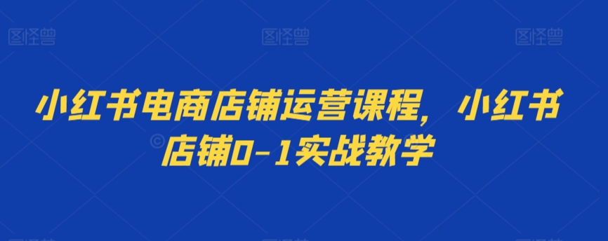 小红书电商店铺运营课程，小红书店铺0-1实战教学-中创网_专注互联网创业,项目资源整合