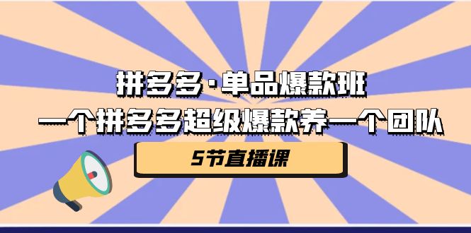 （7019期）拼多多平台·品类爆品班，一个拼多多平台超级爆款养一个精英团队（5节视频课堂）-中创网_专注互联网创业,项目资源整合
