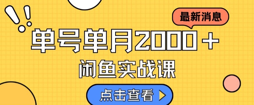 最新闲鱼日入500＋，虚拟资料变现喂饭级讲解-中创网_专注互联网创业,项目资源整合