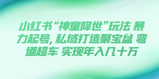 （7673期）小红书的“天才儿童临世”游戏玩法 暴力行为养号,公域打造出聚宝盘 弯道超越 完成年收入几十万-中创网_专注互联网创业,项目资源整合
