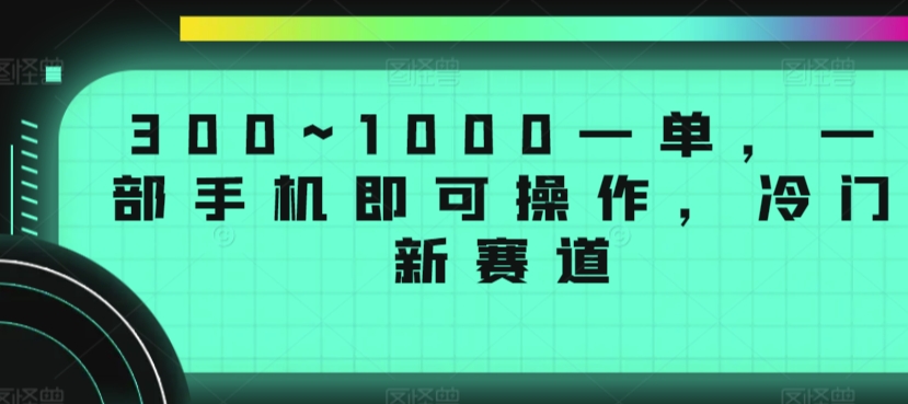 300~1000一单，一部手机即可操作，冷门新赛道-中创网_专注互联网创业,项目资源整合