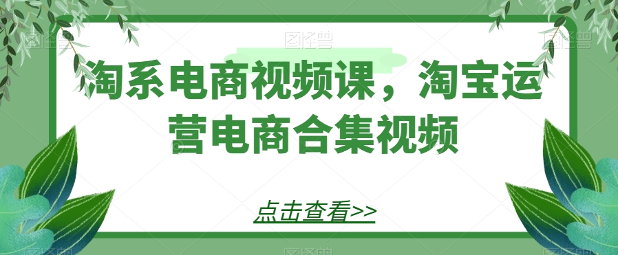 淘宝电商视频课，淘宝店铺运营电子商务合集视频-中创网_专注互联网创业,项目资源整合