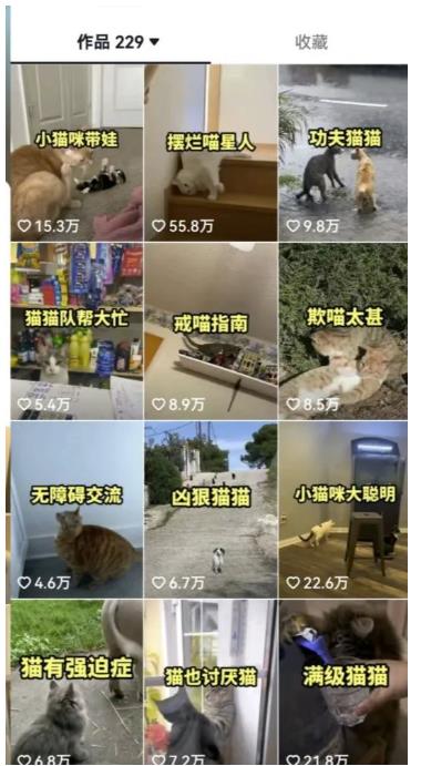 拆解抖音盘点类中视频变现副业项目，视频版一条龙大解析分享给你【视频课程】-中创网_专注互联网创业,项目资源整合