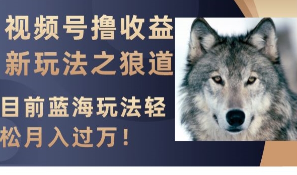 视频号撸收益新玩法之狼道，目前蓝海玩法，轻松月入过万【揭秘】-暖阳网-优质付费教程和创业项目大全-中创网_专注互联网创业,项目资源整合