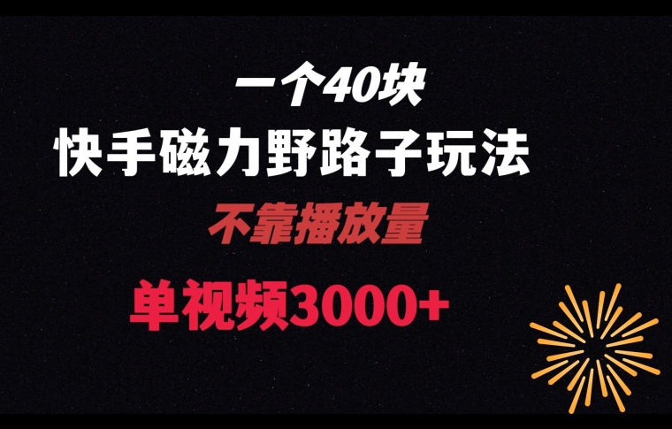 一个40块，快手联合美团磁力新玩法，无视机制野路子玩法，单视频收益4位数【揭秘】-中创网_专注互联网创业,项目资源整合