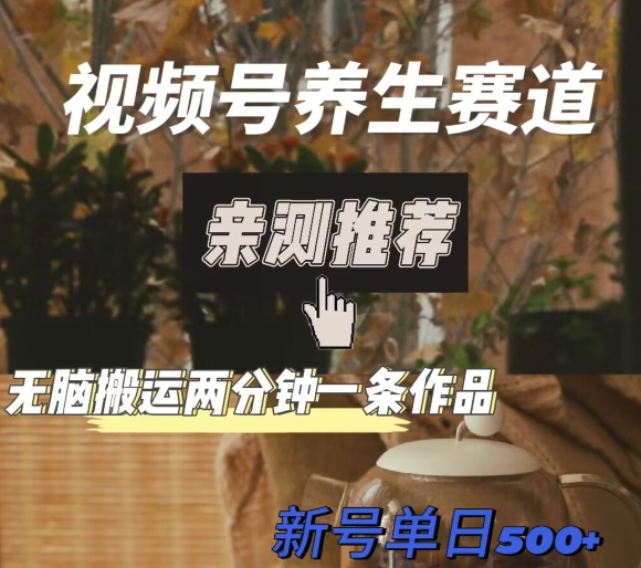 视频号养生赛道暴力掘金，无脑搬运，两分钟一条作品-新日单入500+-暖阳网-优质付费教程和创业项目大全-中创网_专注互联网创业,项目资源整合