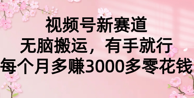 视频号新赛道，无脑搬运，有手就行，每个月多赚3000多零花钱-中创网_专注互联网创业,项目资源整合