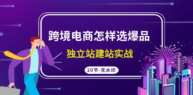 跨境电商怎样选爆品，独立站建站实战（20节高清课）-中创网_专注互联网创业,项目资源整合