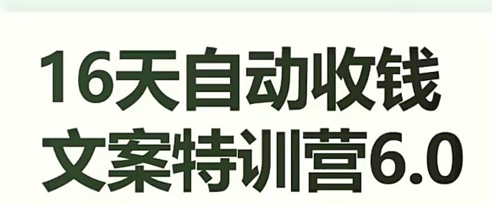 16天全自动收款创意文案夏令营6.0，懂得儿每日全自动咯咯收款-中创网_专注互联网创业,项目资源整合