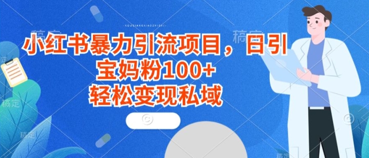 小红书暴力引流项目，日引宝妈粉100+，轻松变现私域-中创网_专注互联网创业,项目资源整合