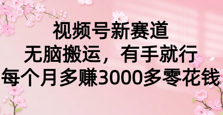 （9278期）视频号新赛道，无脑搬运，有手就行，每个月多赚3000多零花钱-中创网_专注互联网创业,项目资源整合