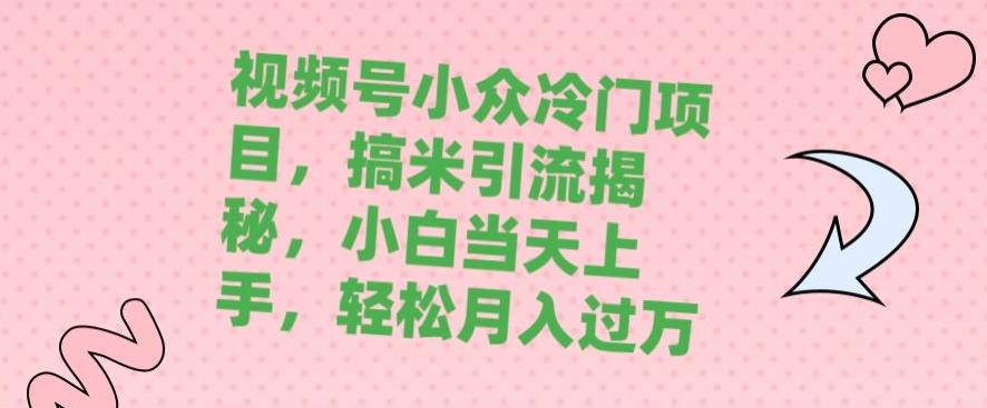 视频号小众蓝海项目，搞米推广方法揭秘，初学者当日新手入门，轻松月入过万-中创网_专注互联网创业,项目资源整合