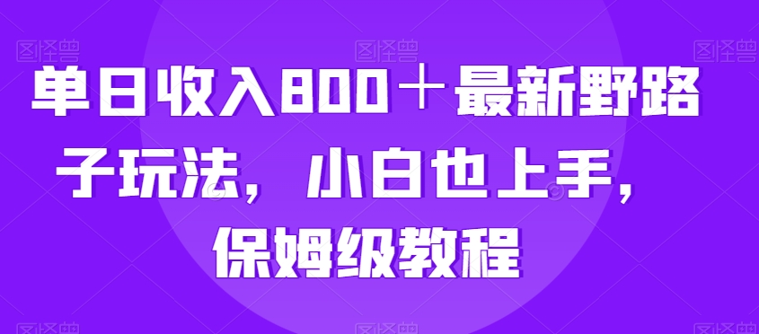 单日收入800＋最新野路子玩法，小白也上手，保姆级教程-中创网_专注互联网创业,项目资源整合