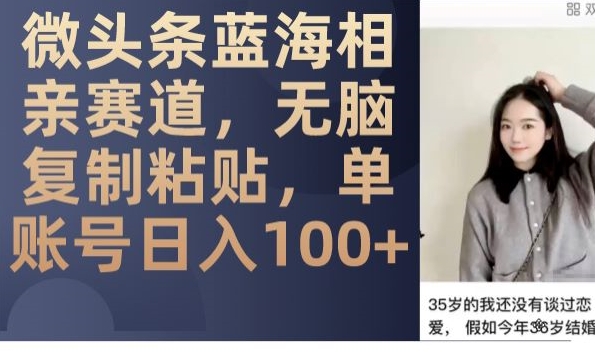 头条瀚海相亲约会跑道，没脑子拷贝，单账户日入100-中创网_专注互联网创业,项目资源整合