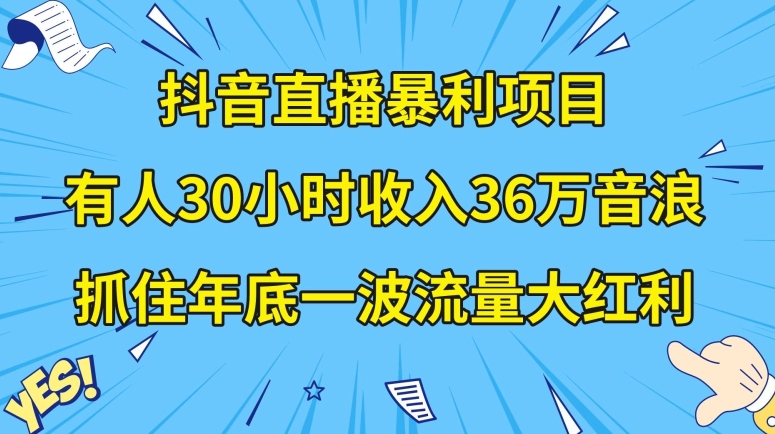 抖音直播暴利项目，有人30小时收入36万音浪，公司宣传片年会视频制作，抓住年底一波流量大红利【揭秘】-中创网_专注互联网创业,项目资源整合