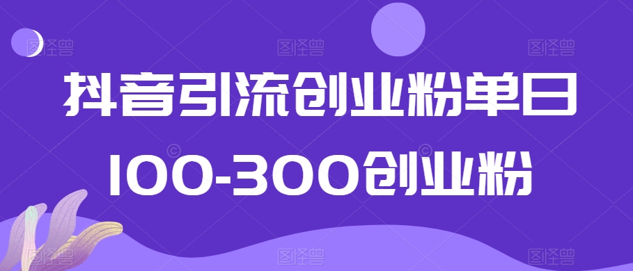 抖音引流创业粉单日100-300创业粉【揭秘】-中创网_专注互联网创业,项目资源整合