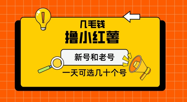 几毛钱撸小红书纯新号和老号，保姆级教程-中创网_专注互联网创业,项目资源整合