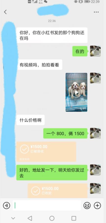 外边收费3980的同城萌宠项目，用最冷门的玩法冲击最热门的市场【揭秘】-中创网_专注互联网创业,项目资源整合