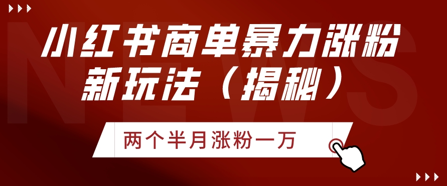 小红书商单暴力涨粉新玩法两个半月涨粉一万（揭秘）-中创网_专注互联网创业,项目资源整合