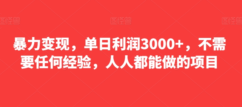 暴力变现，单日利润3000+，不需要任何经验，人人都能做的项目-皓哥创业笔记