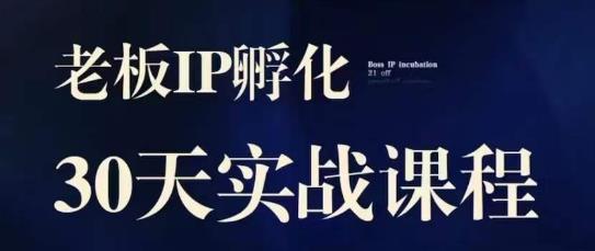 诸葛亮·2023老总IP实战演练课，实体线同城引流拓客，IP卵化必听-中创网_专注互联网创业,项目资源整合