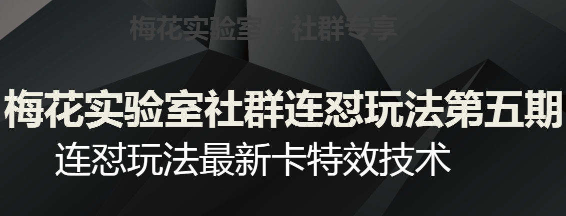 红梅花试验室社群营销连怼游戏玩法第五期，微信视频号连怼游戏玩法全新卡特效技术-中创网_专注互联网创业,项目资源整合