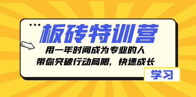 砖头夏令营，用一年时间变成专业人，陪你突破行动局限性，快速增长-暖阳网-优质付费教程和创业项目大全-中创网_专注互联网创业,项目资源整合