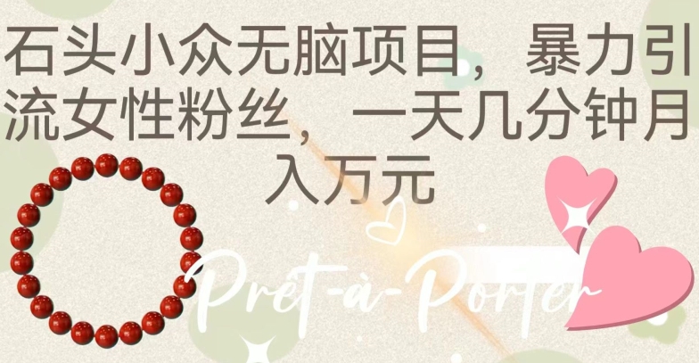 石头小众无脑项目，暴力引流女性粉丝，一天几分钟月入万元-中创网_专注互联网创业,项目资源整合
