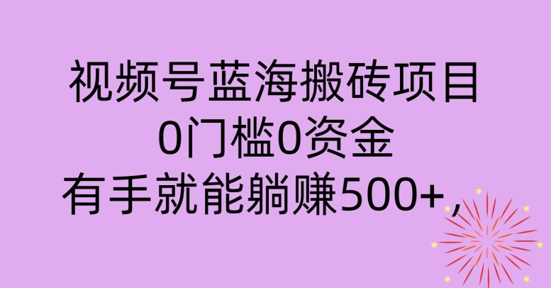 视频号蓝海搬砖项目，0门槛0资金，小白轻松上手，一天30分钟日入500+，堪比捡钱-中创网_专注互联网创业,项目资源整合