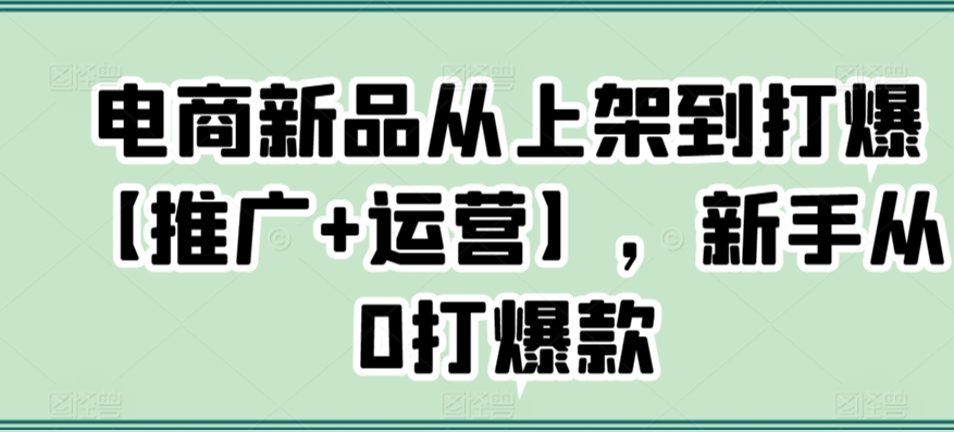 电商新品从上架到打爆【推广+运营】，新手从0打爆款-中创网_专注互联网创业,项目资源整合