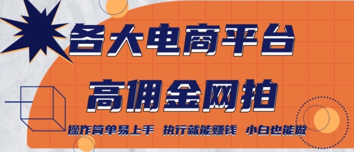 各大电商平台高佣金网拍，操作简单易上手，执行就能赚钱，小白也能做-中创网_专注互联网创业,项目资源整合