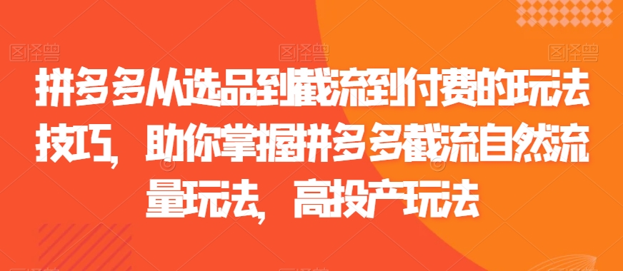 拼多多从选品到截流到付费的玩法技巧，助你掌握拼多多截流自然流量玩法，高投产玩法-中创网_专注互联网创业,项目资源整合