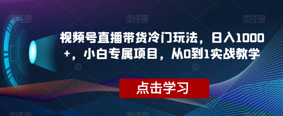 微信视频号直播卖货小众游戏玩法，日入1000 ，新手专享新项目，从0到1实战教学【揭密】-暖阳网-优质付费教程和创业项目大全-中创网_专注互联网创业,项目资源整合