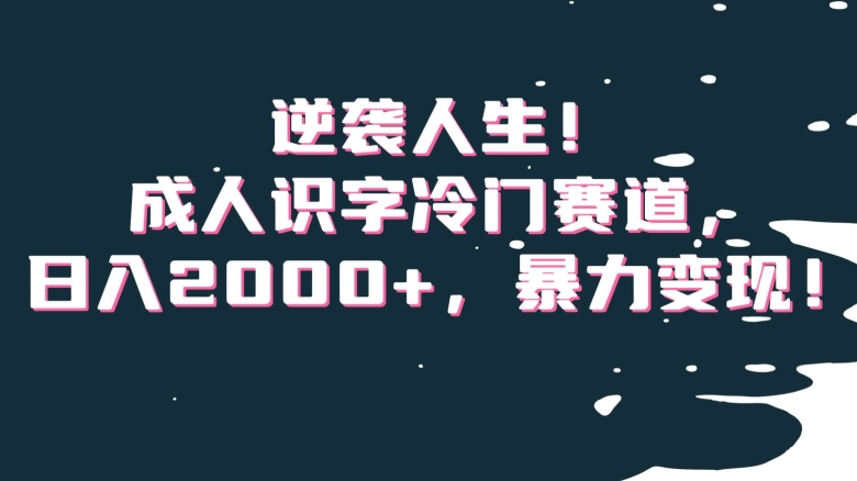 逆袭人生！成人识字冷门赛道，日入2000+，暴力变现！【揭秘】-中创网_专注互联网创业,项目资源整合