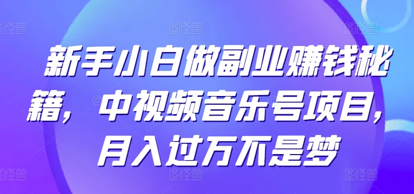 新手小白做副业赚钱秘籍，中视频音乐号项目，月入过万不是梦-中创网_专注互联网创业,项目资源整合