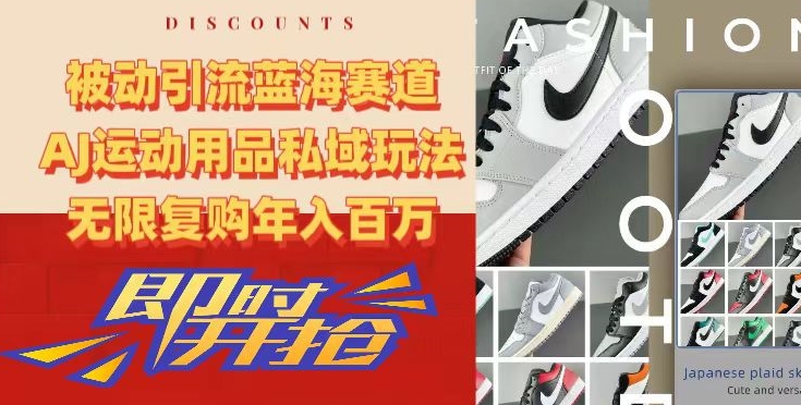 被动引流蓝海赛道，AJ运动用品私域玩法，无限复购年入百万【揭秘】-中创网_专注互联网创业,项目资源整合