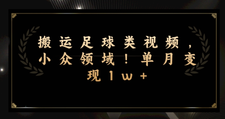 运送足球队类视频，冷门行业！单月转现1w-中创网_专注互联网创业,项目资源整合