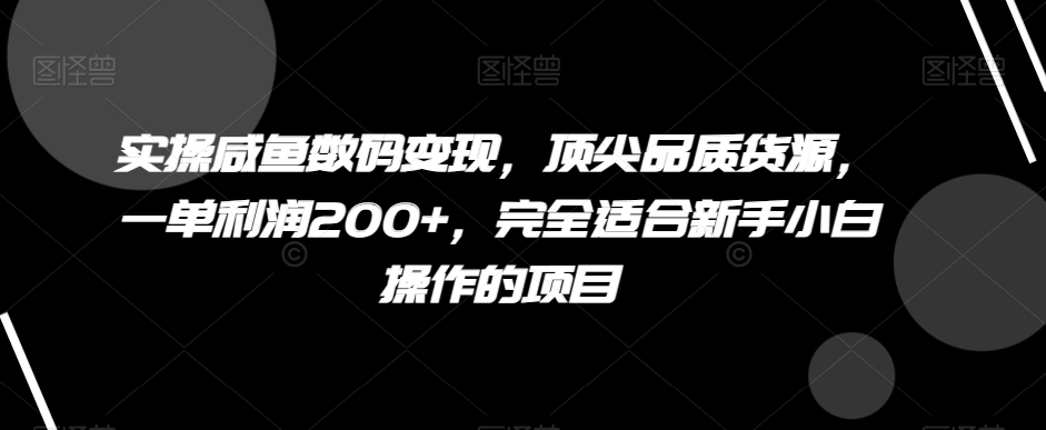 实操咸鱼数码变现，顶尖品质货源，一单利润200+，完全适合新手小白操作的项目【揭秘】-中创网_专注互联网创业,项目资源整合