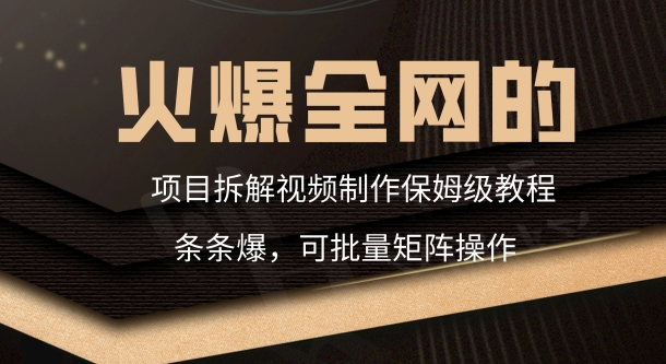 火爆全网的项目拆解类视频如何制作，条条爆，保姆级教程-中创网_专注互联网创业,项目资源整合