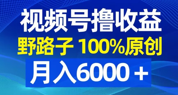 视频号野路子撸收益，100%原创，条条爆款，月入6000＋【揭秘】-中创网_专注互联网创业,项目资源整合