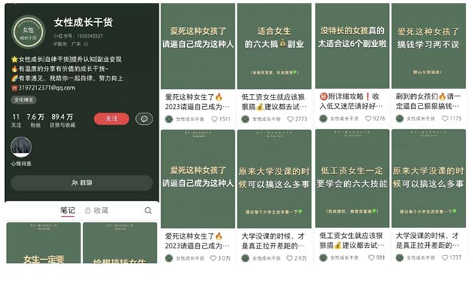 小红书各行业引流玩法，从养号到制作到引流等，一条龙分享给你-中创网_专注互联网创业,项目资源整合
