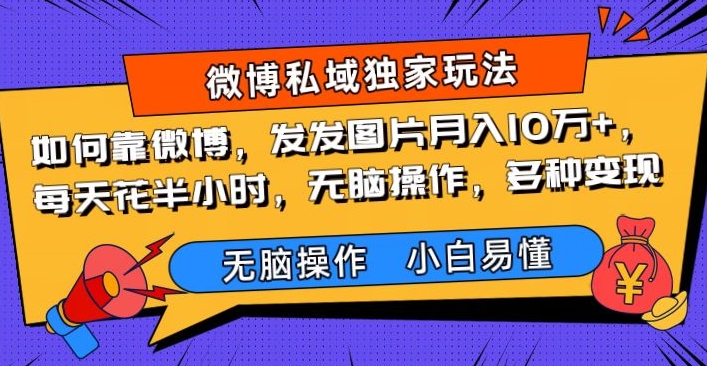 怎样靠新浪微博，发发图月入10万 ，每天花费三十分钟，没脑子实际操作，多种多样转现-暖阳网-优质付费教程和创业项目大全-中创网_专注互联网创业,项目资源整合