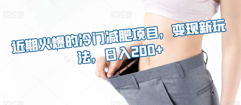 近期火爆的冷门减肥项目，变现新玩法，日入200+-中创网_专注互联网创业,项目资源整合