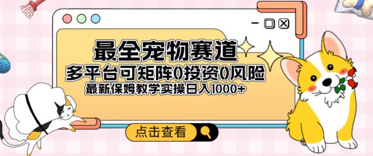 全新升级小宠物跑道全平台轻轻松松日入500 ，0风险性，0项目投资，可引流矩阵长期性收益-中创网_专注互联网创业,项目资源整合
