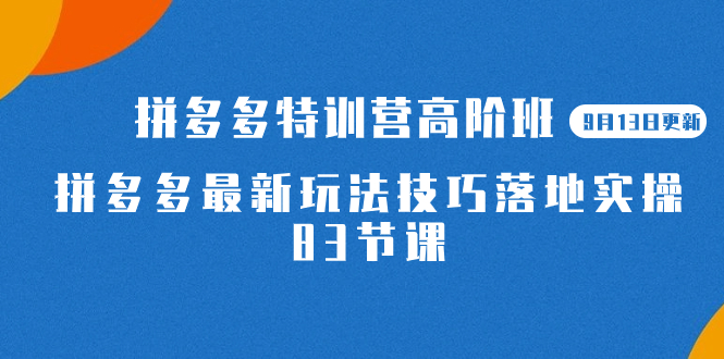 （7295期）2023拼多多平台·夏令营高级班【9月13日升级】拼多多最新技巧攻略落地式实际操作-83节-中创网_专注互联网创业,项目资源整合