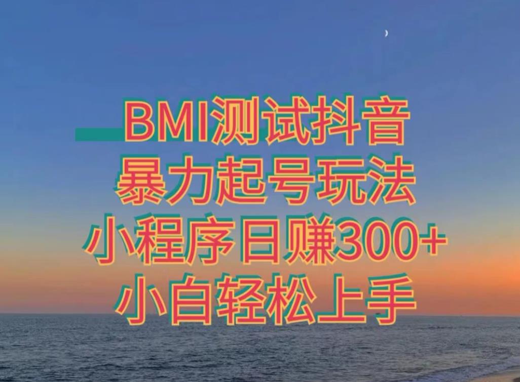 神图抖音小程序项目4.0版引流，日入300+暴力玩法小白轻松上手-中创网_专注互联网创业,项目资源整合