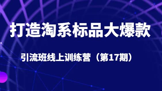 打造出淘宝标准品大爆品引流方法班线上训练营5天直播授课-中创网_专注互联网创业,项目资源整合